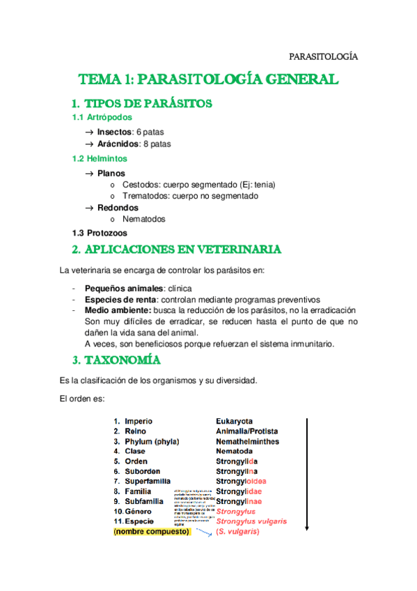 Croce Concepto Y Apuntes Relacionados Wuolah