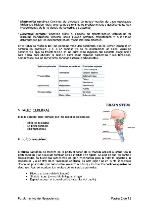 Caliza Concepto Y Apuntes Relacionados Wuolah