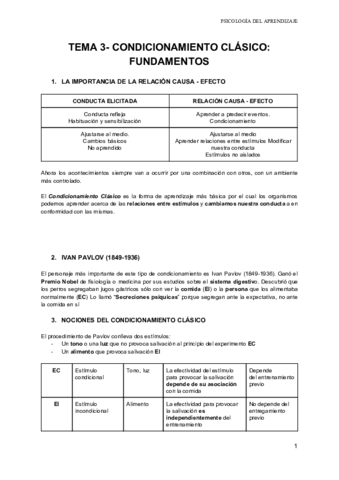 Miniatura del documento TEMA 3 APREND.pdf