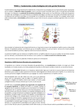 Miniatura del documento Tema 1. Fundamentos endocrinológicos del ciclo genital femenino.pdf