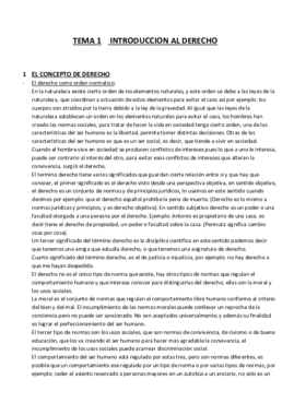 Miniatura del documento APUNTES CLASE DERECHO.pdf