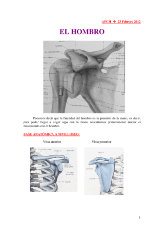 Miniatura del documento 23-2-12 HOMBRO.pdf
