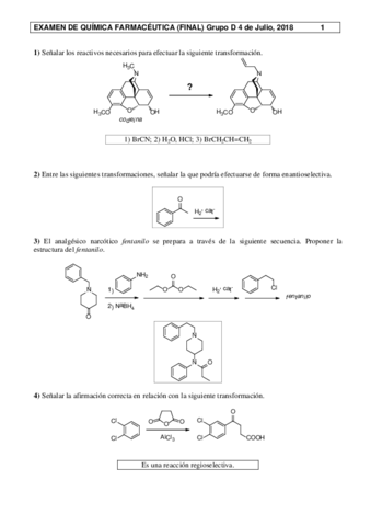 Miniatura del documento Julio 2018 CORREGIDO.pdf