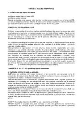 Miniatura del documento TEMAS 9 A 12 POR MI.odt.pdf