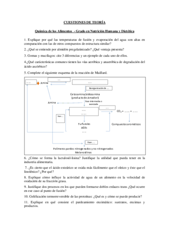 Miniatura del documento CUESTIONES TEORIA.pdf
