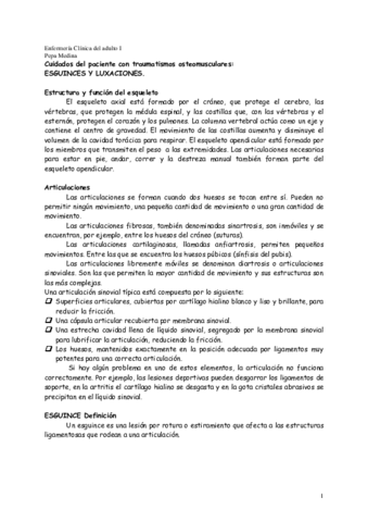 Miniatura del documento Cuidados_del_paciente_con_traumatismos_osteomusculares._Esguinces_y_Luxaciones.pdf