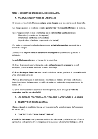 Miniatura del documento PRL T1 FINAL.pdf