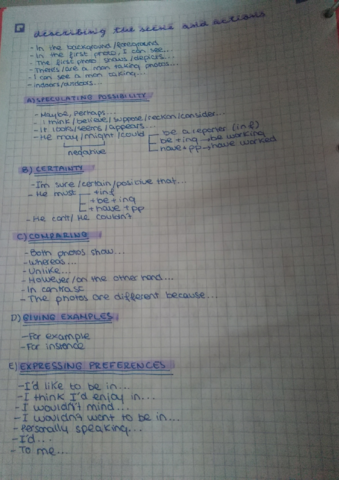 Miniatura del documento Describing the scene.pdf