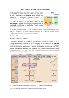 Miniatura del documento Tema 2 - Accion de hormonas.pdf