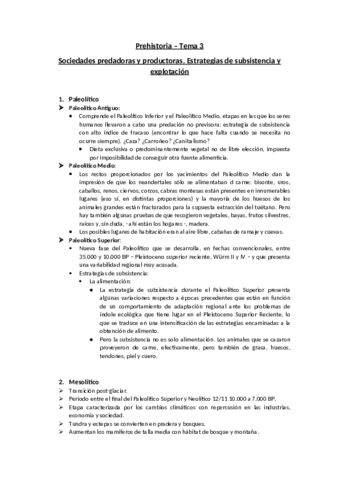 Miniatura del documento Prehistoria - Tema 3.pdf
