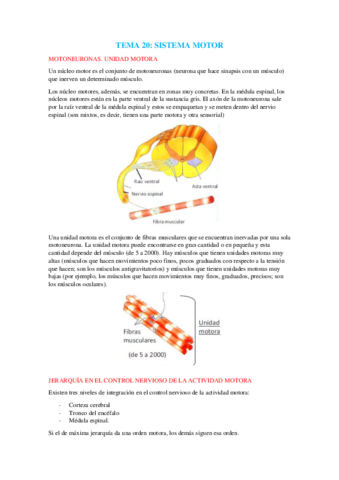 Miniatura del documento Tema 20.pdf