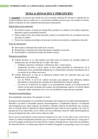 Miniatura del documento T4- Sensación y percepción.pdf