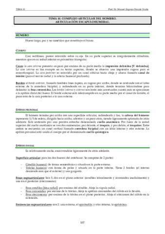 Miniatura del documento Tema 18.pdf