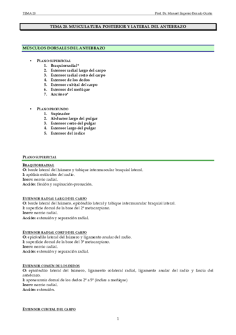 Miniatura del documento Tema 28.pdf