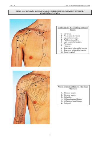 Miniatura del documento Tema 35.pdf