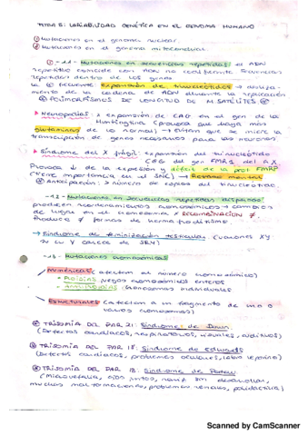 Miniatura del documento Variabilidad genética.pdf