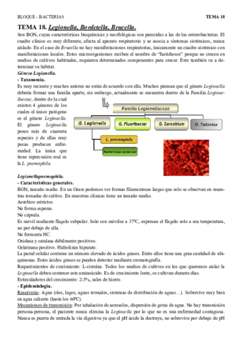 Miniatura del documento T18 - Legionella- bordetella, brucella.pdf