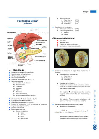 Miniatura del documento Resumen Patología Biliar.pdf