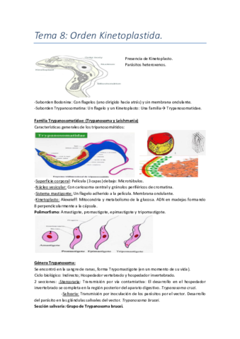 Miniatura del documento Tema 8. Orden Kinetoplastida..pdf