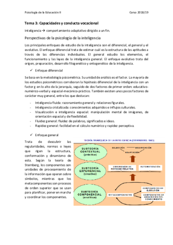 Miniatura del documento Tema 3.pdf