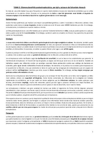 Miniatura del documento Tema 3. Glomerulonefritis postestreptocócica- por IgA y Schonlein-Henoch.pdf