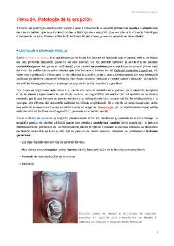 Miniatura del documento Tema 24.pdf
