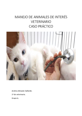 Miniatura del documento SIRA caso practico pdf.pdf