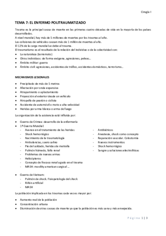 Miniatura del documento TEMA 7 EL ENFERMO POLITRAUMATIZADO.pdf