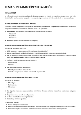 Miniatura del documento TEMA 5.pdf