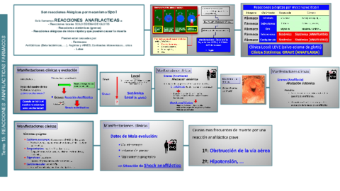 Miniatura del documento PATO Tema 15 ANAFILAXIA.pdf
