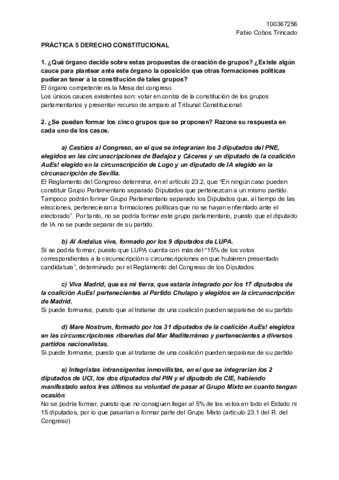 Miniatura del documento practica 5 CONSTI.pdf