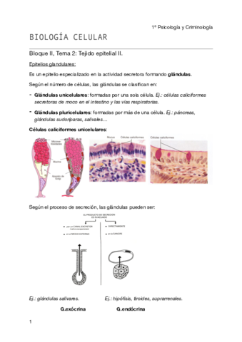 Miniatura del documento Biología celular - Tema 2- BII pdf.pdf