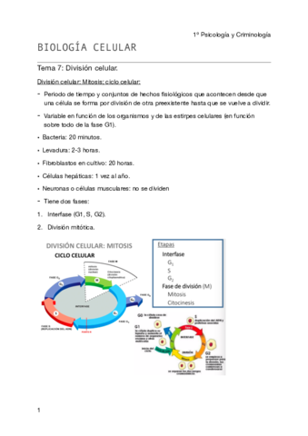 Miniatura del documento Biología celular - Tema 7 pdf.pdf