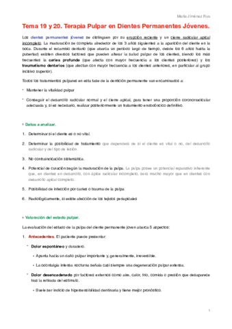 Miniatura del documento Tema 19 y 20.pdf