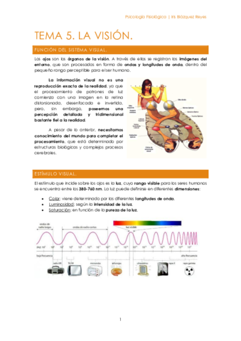 Miniatura del documento TEMA 5. LA VISIÓN.pdf