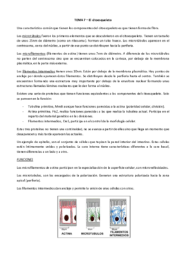 Miniatura del documento TEMA 7_Citoesqueleto.pdf