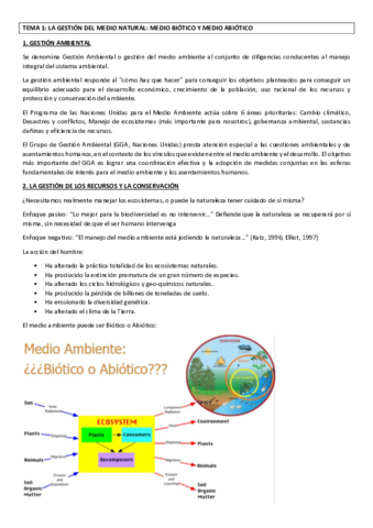 Miniatura del documento TEMA 1 GERENA redactado.pdf