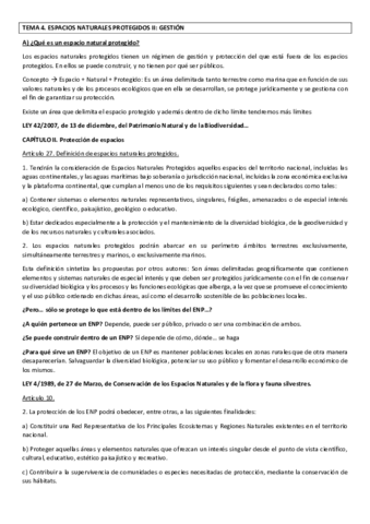 Miniatura del documento TEMA 4 GERENA redactado.pdf