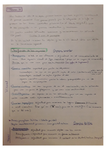 Miniatura del documento Tema 4 neuro.pdf