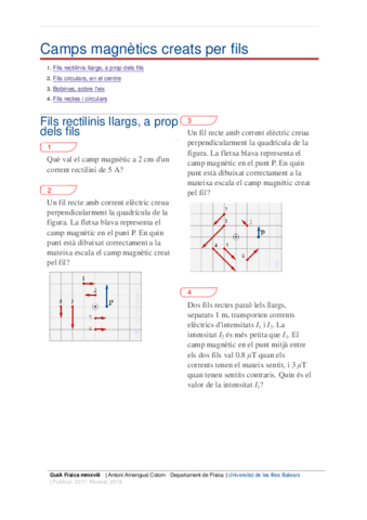 Miniatura del documento E_Magnetica_Camp.pdf
