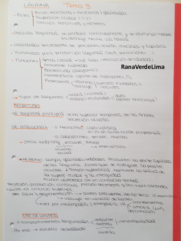 Miniatura del documento Tema 3 Lagrima.pdf