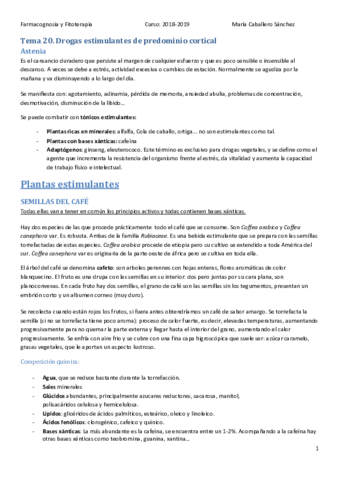 Miniatura del documento tema 20.pdf