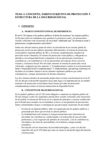 Miniatura del documento TEMA 1 SS1.pdf