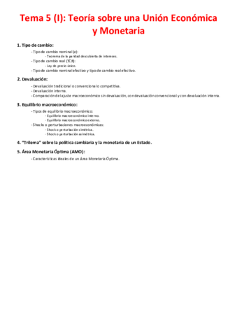 Miniatura del documento Tema 5 (I) - Teoría sobre la Unión Económica y Monetaria.pdf