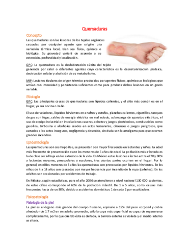 Miniatura del documento 4 Quemaduras.pdf