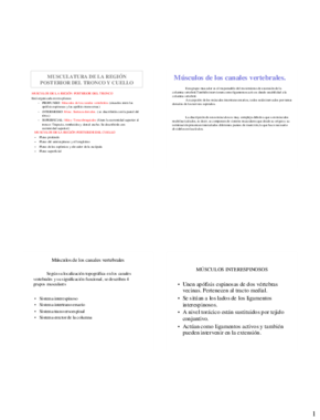Miniatura del documento Tema 2 Musculos del dorso del tronco.pdf