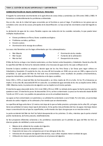Miniatura del documento TEMA 11 GERENA redactado.pdf