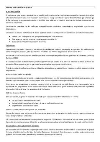 Miniatura del documento TEMA 9 GERENA redactado.pdf