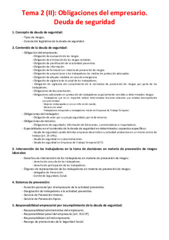 Miniatura del documento Tema 2 (II) - Obligaciones del empresario. Deuda de seguridad.pdf