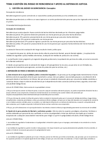 Miniatura del documento TEMA 5 GESTIÓN DEL RIESGO DE REINCIDENCIA Y APOYO AL SISTEMA DE JUSTICIA.pdf